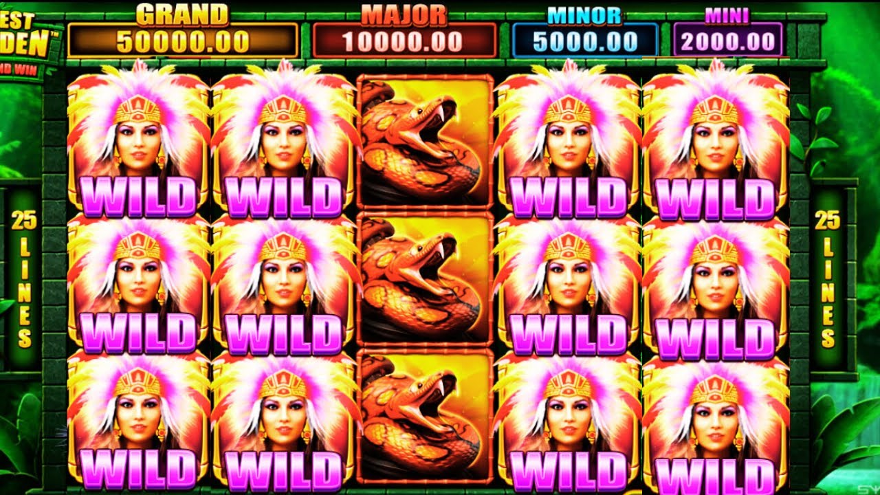BIG WIN SLOT FOREST MAIDEN HOLD AND WIN Video
