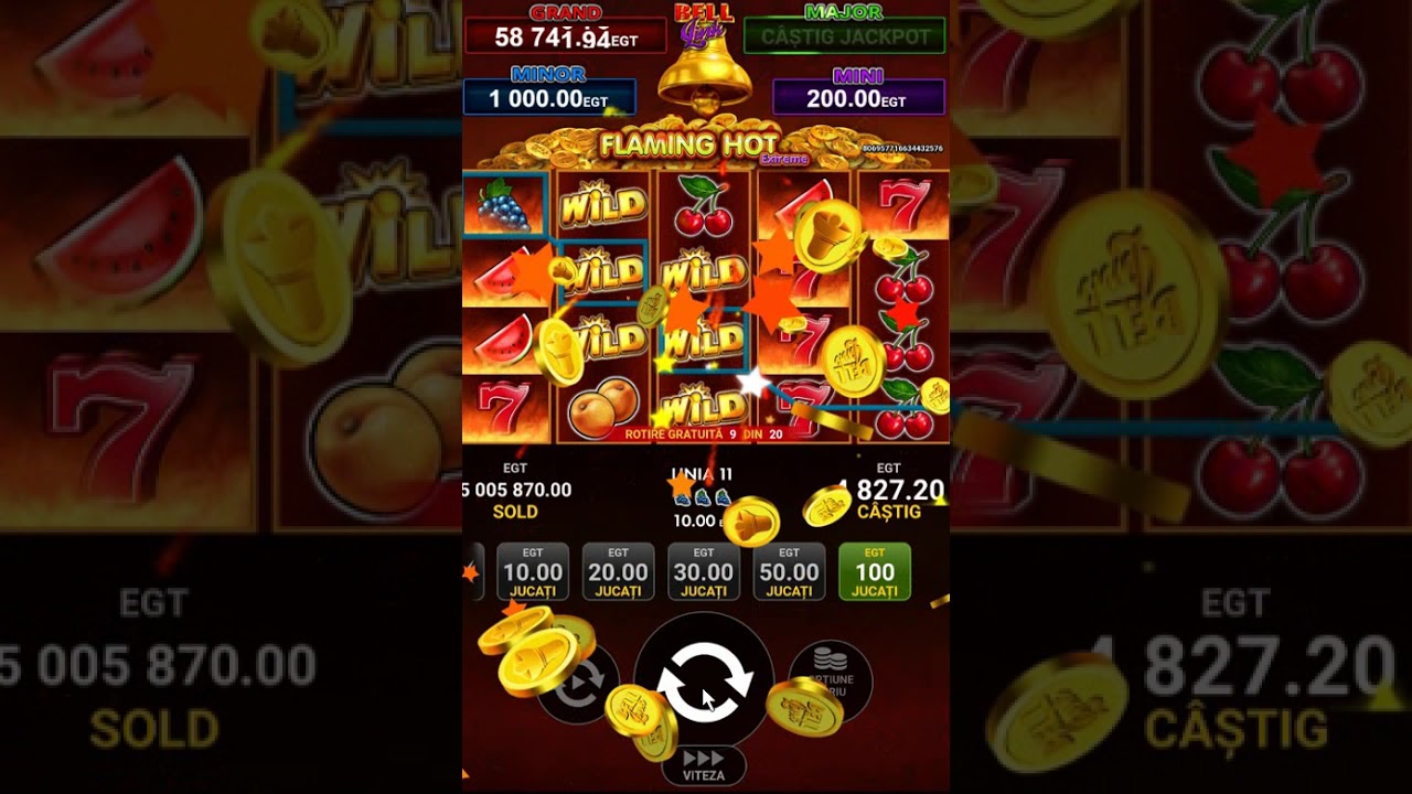 FlamingoHot Hot Slot Gameplay & Big Wins Video