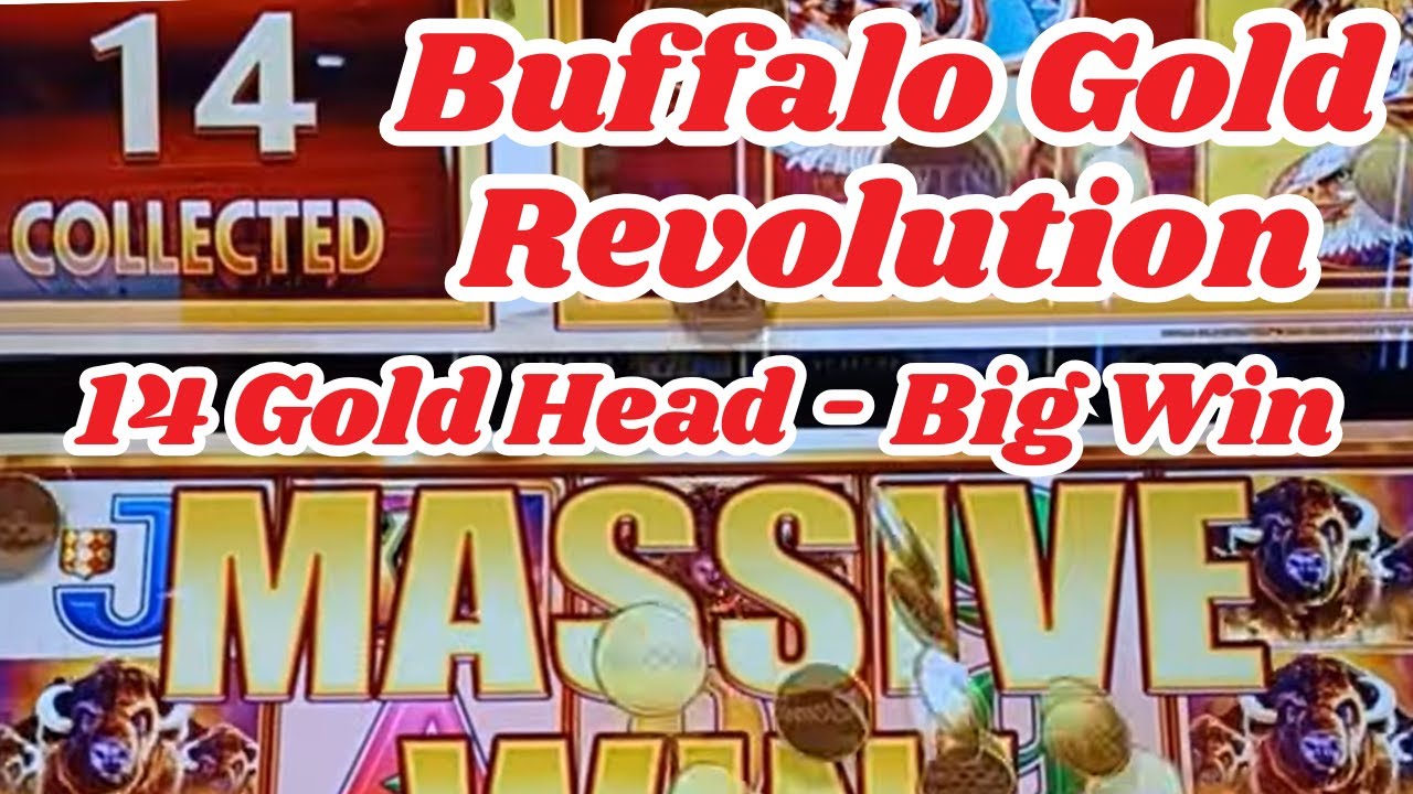 Buffalo Revolution - Big Win with 14 Gold Heads Video