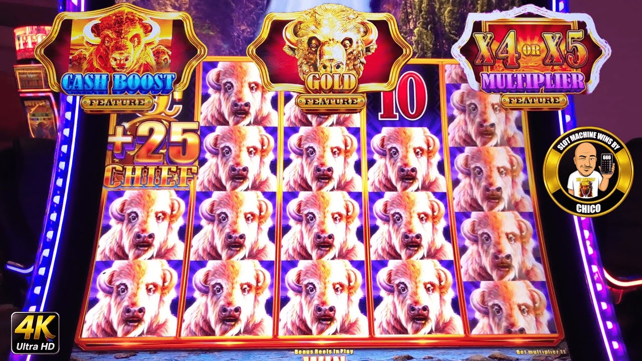 Big Buffalo Slot Machine Surprise Win! Video