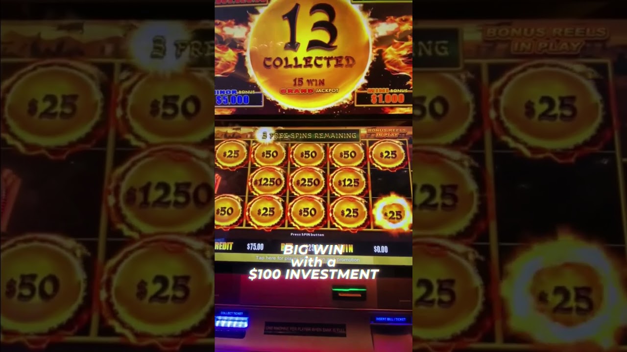 ANOTHER BIG WIN WITH A $ INVESTMENT hardrocktampa slots slotmachinewins money casino Video