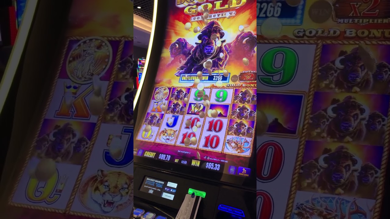 MOM WINS BIG!! CHOCTAW playing BUFFALO GOLD slots! Video
