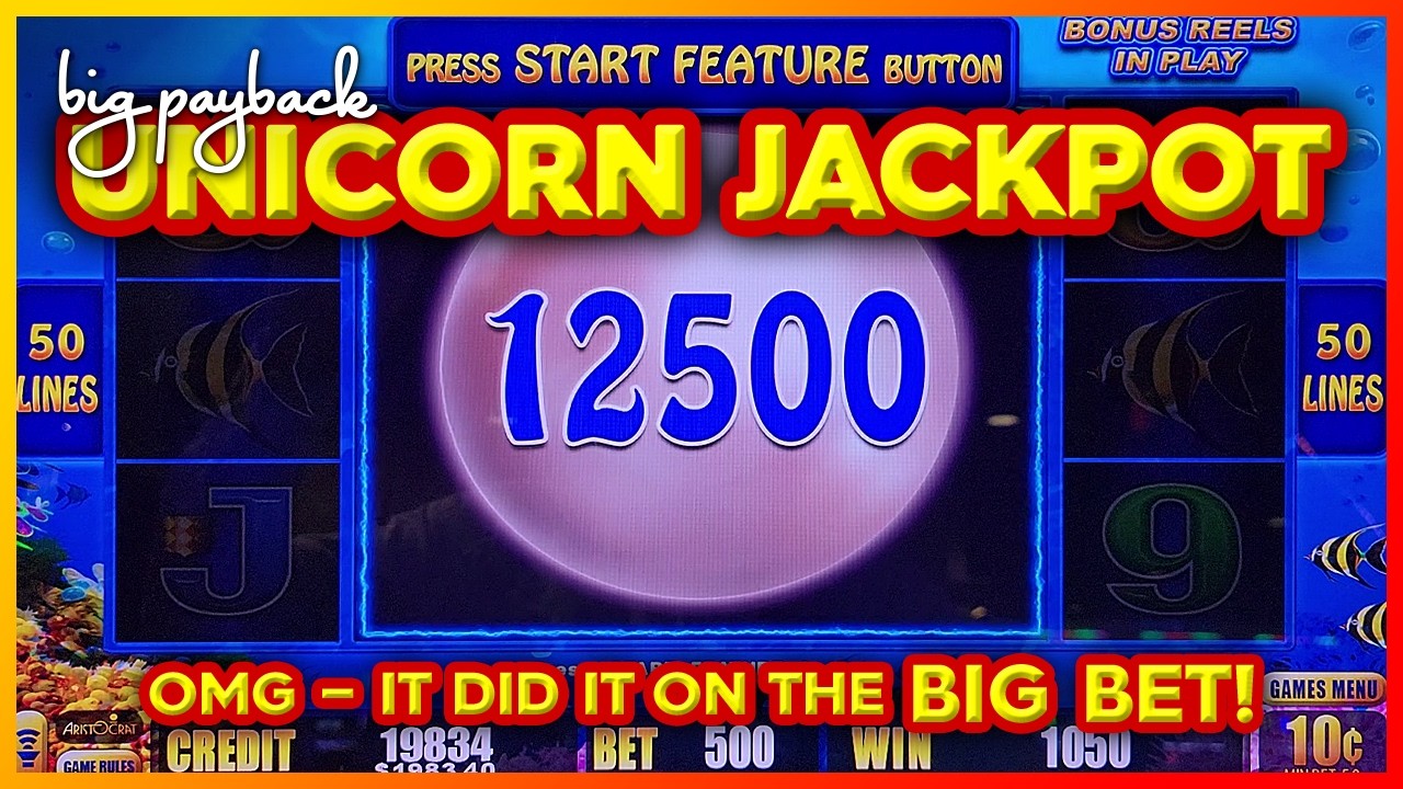 MASSIVE! My BIGGEST JACKPOT EVER on Lightning Link Slots! Video
