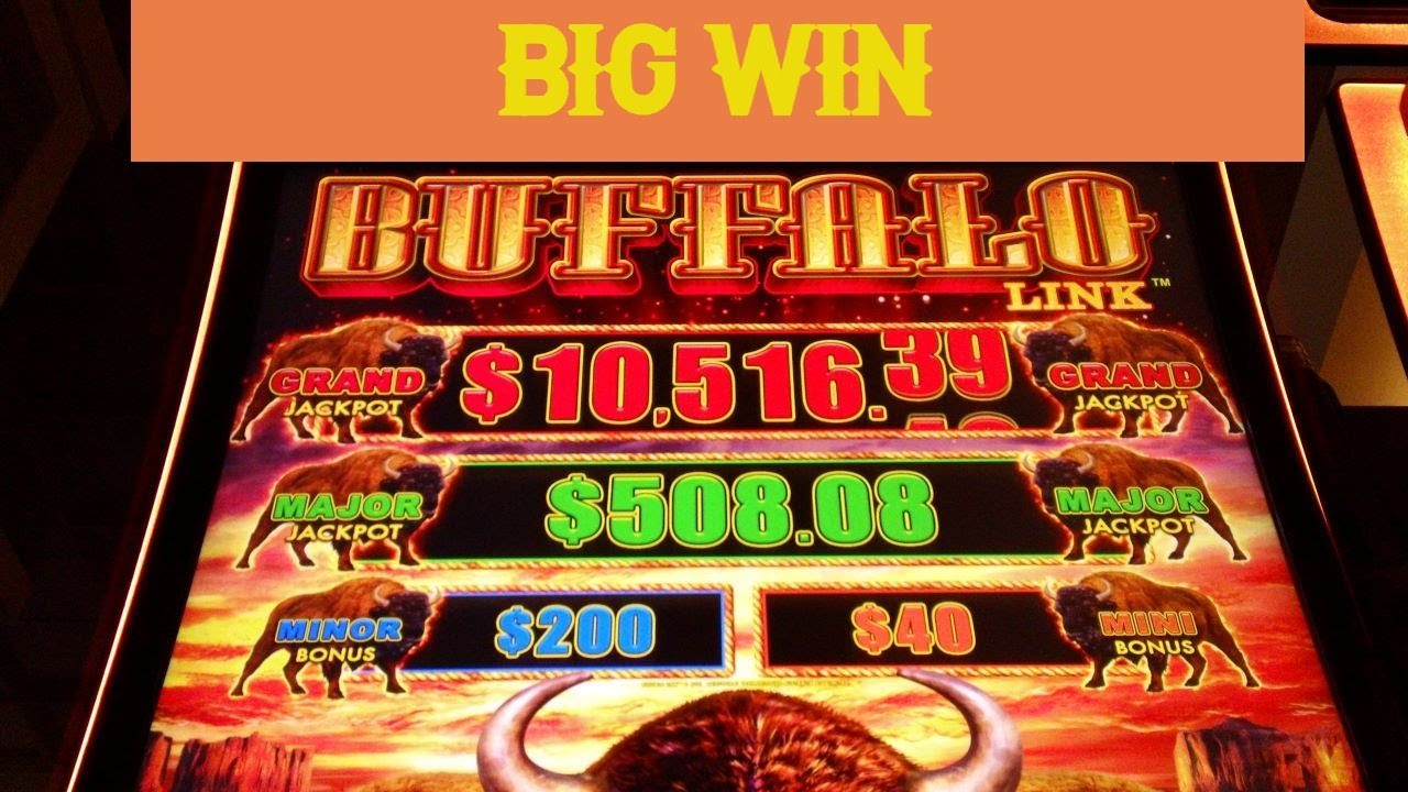 BIG WIN BUFFALO LINK SLOTS Video