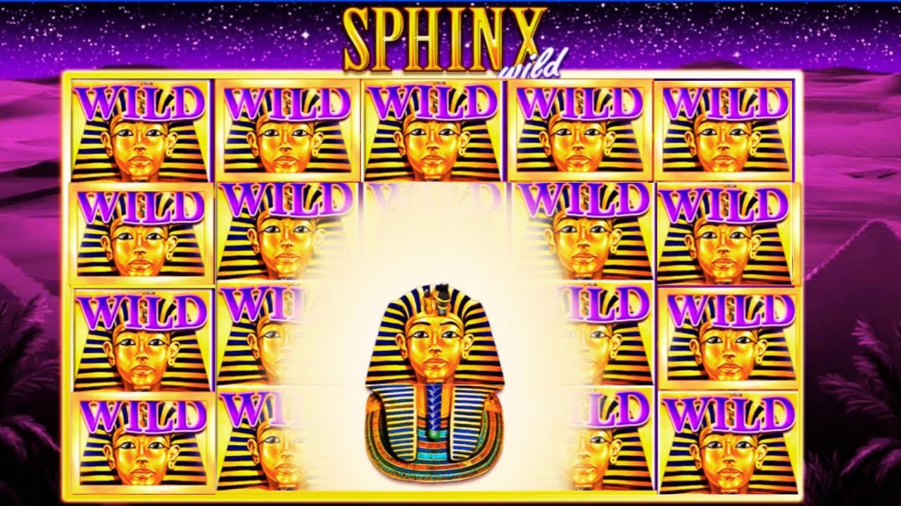 NEW BIG WIN on Sphinx Wild Slot! HUGE Wins on IGT Slot Video