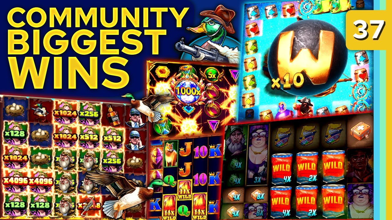 Community Biggest Wins – #37 / 2025 Video