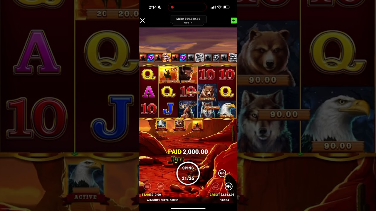 Big Win! BUFFALO SLOT! Video