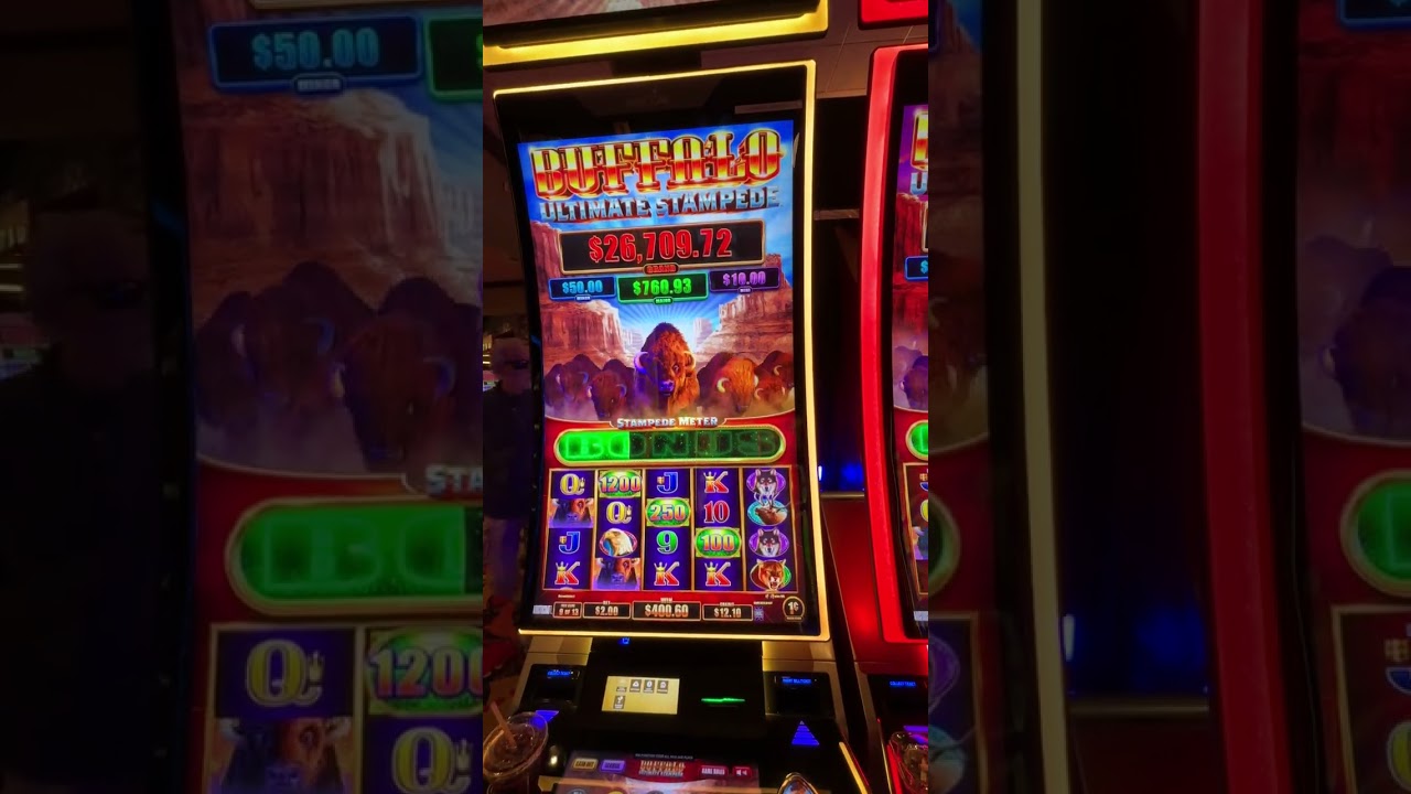 Big Win on Buffalo Ultimate Stampede Slot at Hard Rock Seminole Coconut Creek Casino. #hardrock Video