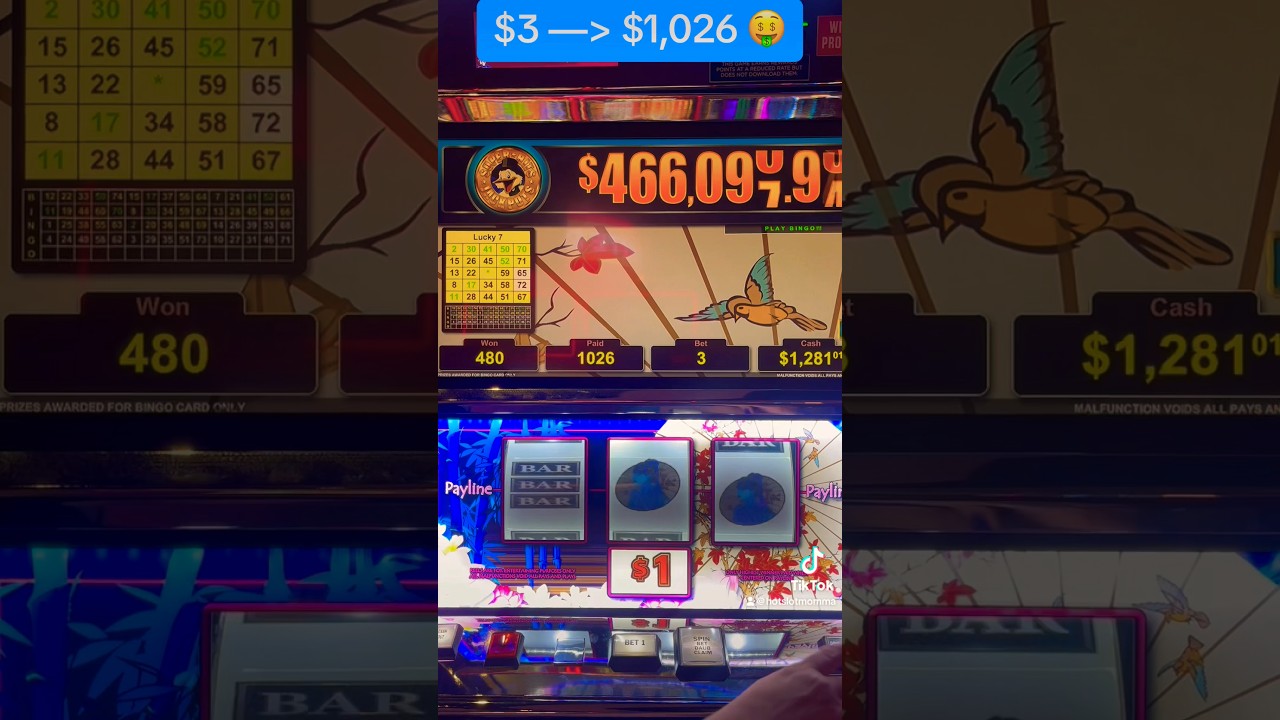Smooth as Silk Vgt Bingo Progressive Slot Machine Big Win #vgt #vgtslots #bingo #redscreen #casino Video