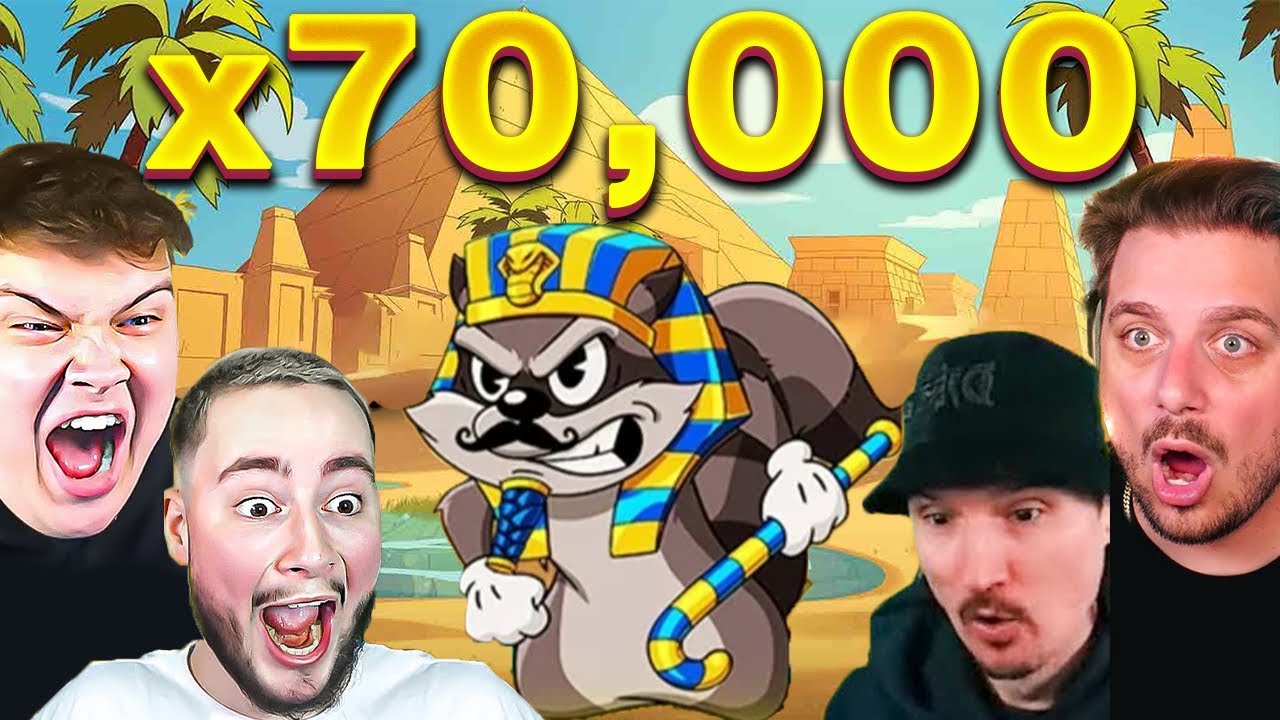 BIGGEST CASINO WINS OF THE WEEK: Only REAL Small Streamers - #8 Video