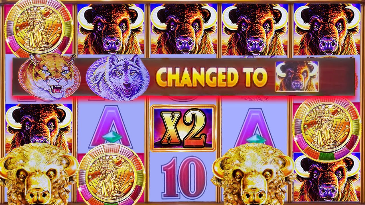 COUGAR & WOLF UPGRADED for a BIG WIN Video